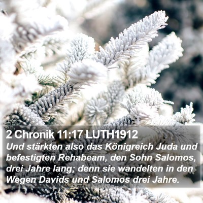 2 Chronik 11:17 LUTH1912 Bible Verse Image