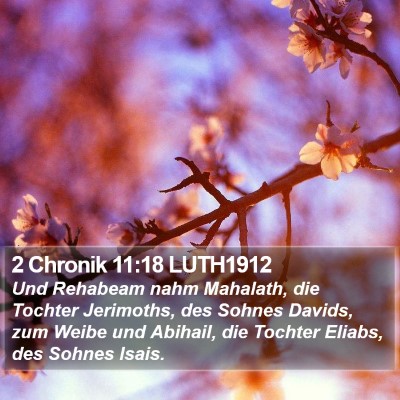 2 Chronik 11:18 LUTH1912 Bible Verse Image