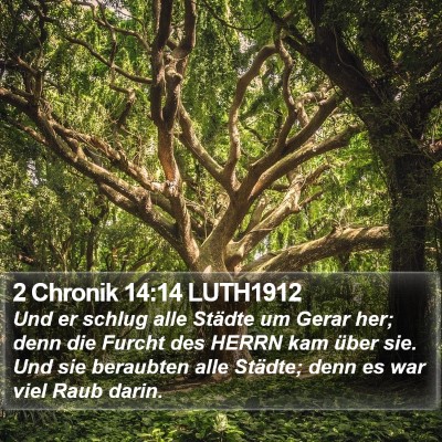 2 Chronik 14:14 LUTH1912 Bible Verse Image