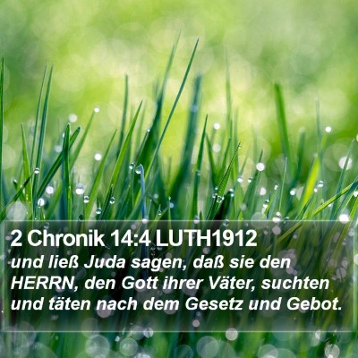 2 Chronik 14:4 LUTH1912 Bible Verse Image