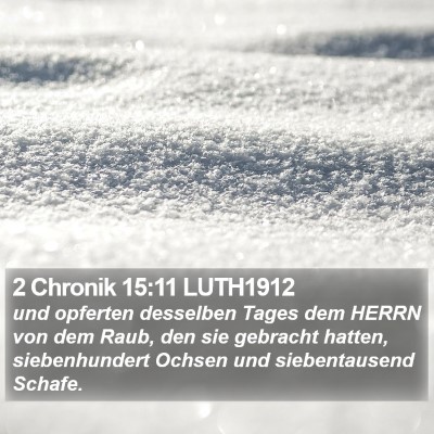 2 Chronik 15:11 LUTH1912 Bible Verse Image