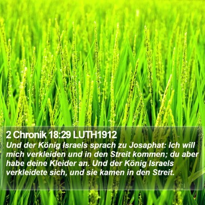 2 Chronik 18:29 LUTH1912 Bible Verse Image