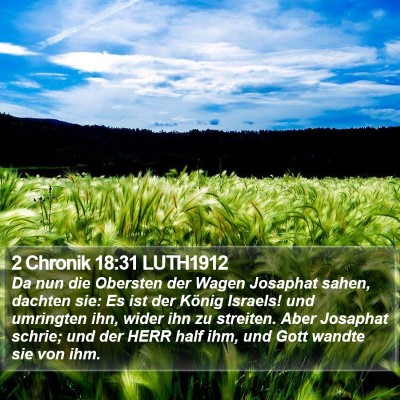 2 Chronik 18:31 LUTH1912 Bible Verse Image