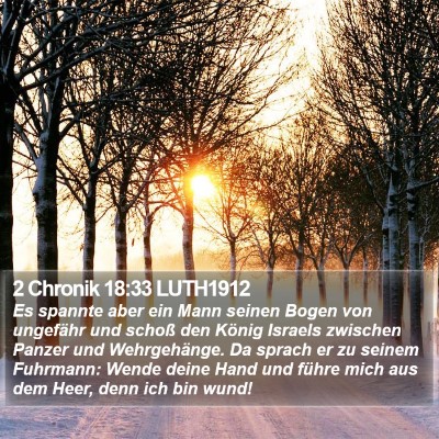 2 Chronik 18:33 LUTH1912 Bible Verse Image