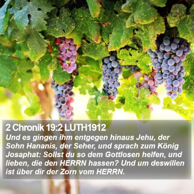 2 Chronik 19:2 LUTH1912 Bible Verse Image