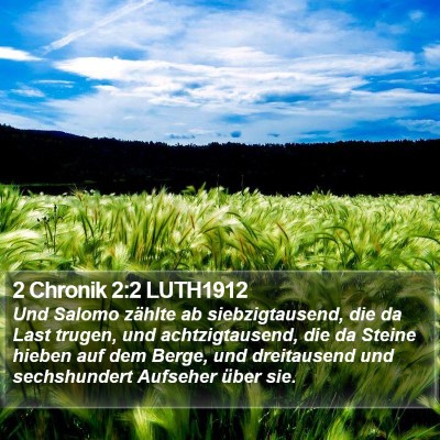2 Chronik 2:2 LUTH1912 Bible Verse Image