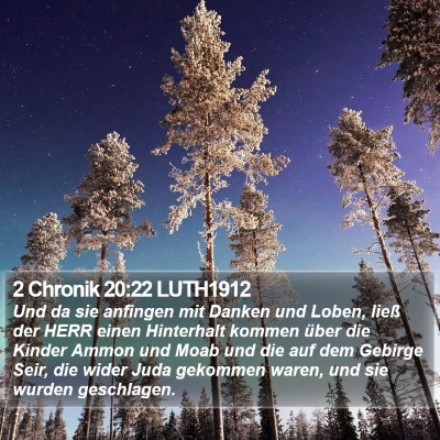2 Chronik 20:22 LUTH1912 Bible Verse Image