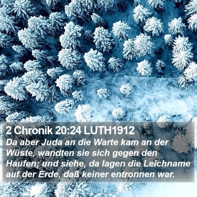2 Chronik 20:24 LUTH1912 Bible Verse Image