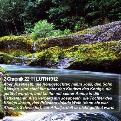 2 Chronik 22:11 LUTH1912 Bible Verse Image