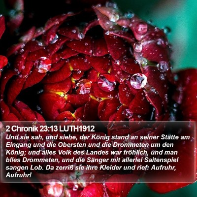 2 Chronik 23:13 LUTH1912 Bible Verse Image