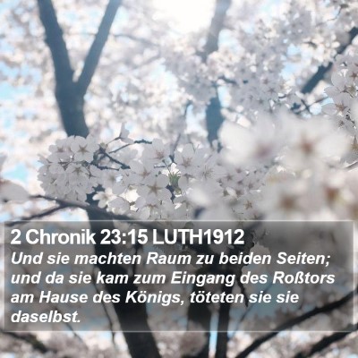 2 Chronik 23:15 LUTH1912 Bible Verse Image