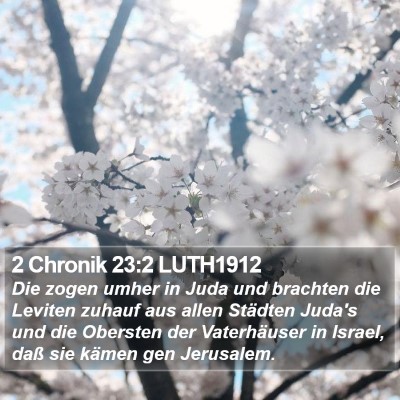 2 Chronik 23:2 LUTH1912 Bible Verse Image