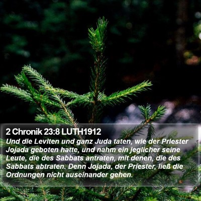 2 Chronik 23:8 LUTH1912 Bible Verse Image