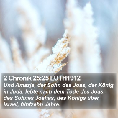 2 Chronik 25:25 LUTH1912 Bible Verse Image