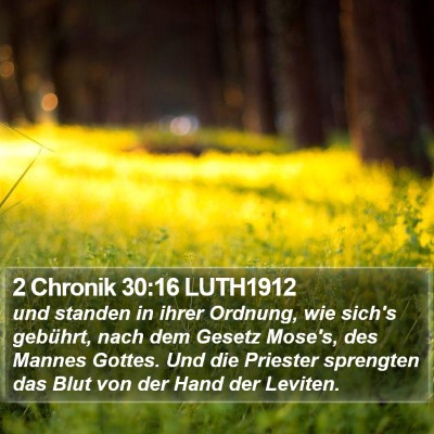 2 Chronik 30:16 LUTH1912 Bible Verse Image