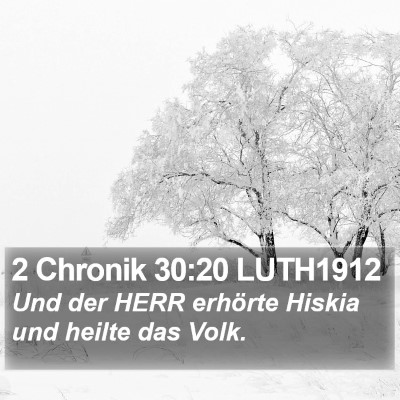 2 Chronik 30:20 LUTH1912 Bible Verse Image