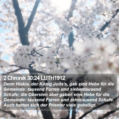 2 Chronik 30:24 LUTH1912 Bible Verse Image