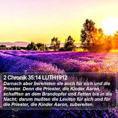 2 Chronik 35:14 LUTH1912 Bible Verse Image