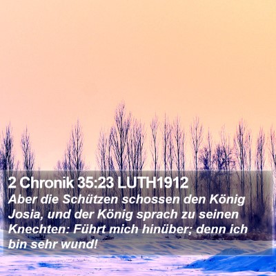 2 Chronik 35:23 LUTH1912 Bible Verse Image