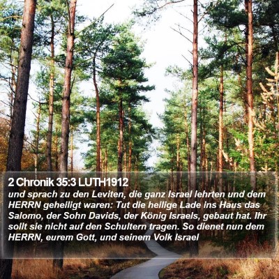 2 Chronik 35:3 LUTH1912 Bible Verse Image
