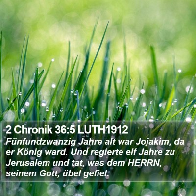 2 Chronik 36:5 LUTH1912 Bible Verse Image