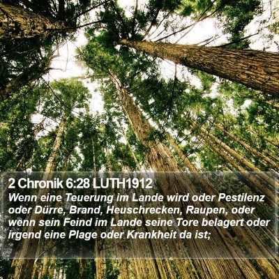 2 Chronik 6:28 LUTH1912 Bible Verse Image