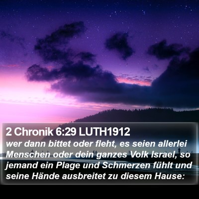 2 Chronik 6:29 LUTH1912 Bible Verse Image