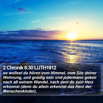 2 Chronik 6:30 LUTH1912 Bible Verse Image