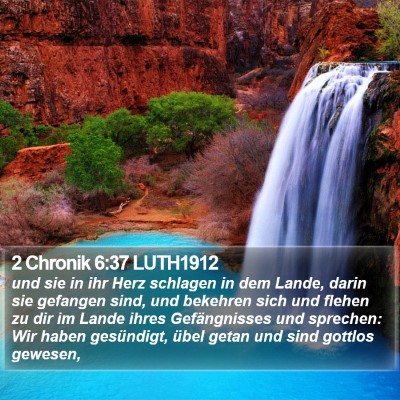 2 Chronik 6:37 LUTH1912 Bible Verse Image