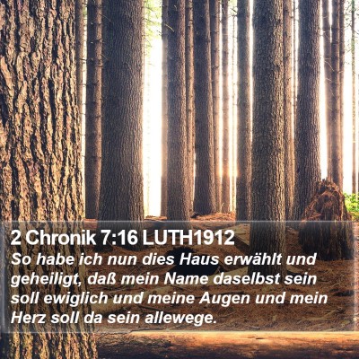 2 Chronik 7:16 LUTH1912 Bible Verse Image