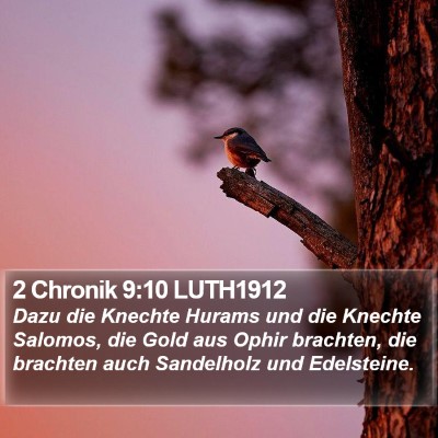 2 Chronik 9:10 LUTH1912 Bible Verse Image