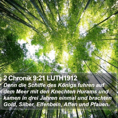 2 Chronik 9:21 LUTH1912 Bible Verse Image