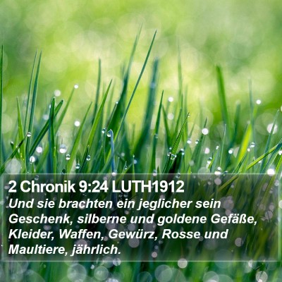 2 Chronik 9:24 LUTH1912 Bible Verse Image
