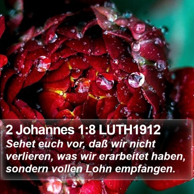 2 Johannes 1:8 LUTH1912 Bible Verse Image