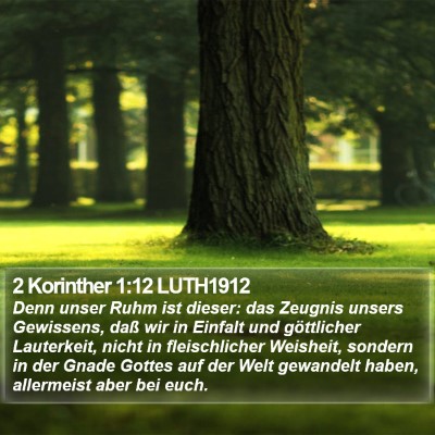 2 Korinther 1:12 LUTH1912 Bible Verse Image