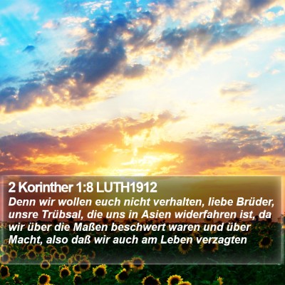 2 Korinther 1:8 LUTH1912 Bible Verse Image