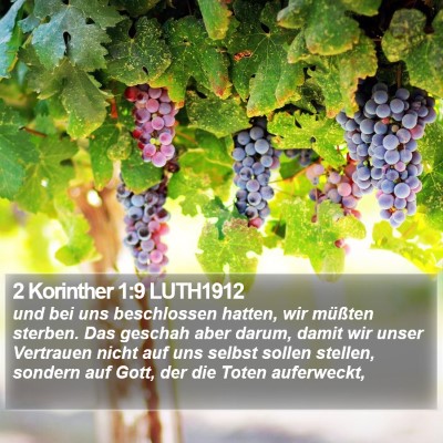 2 Korinther 1:9 LUTH1912 Bible Verse Image