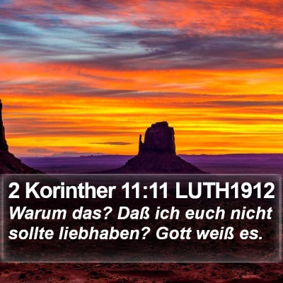 2 Korinther 11:11 LUTH1912 Bible Verse Image
