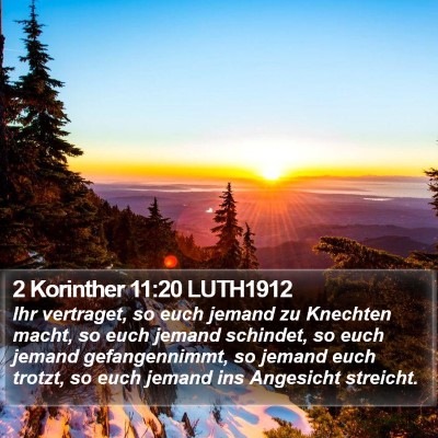2 Korinther 11:20 LUTH1912 Bible Verse Image