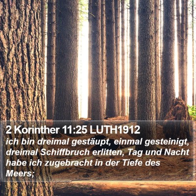 2 Korinther 11:25 LUTH1912 Bible Verse Image