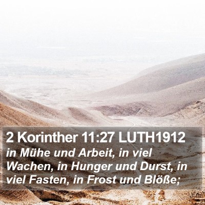 2 Korinther 11:27 LUTH1912 Bible Verse Image