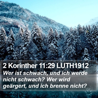 2 Korinther 11:29 LUTH1912 Bible Verse Image