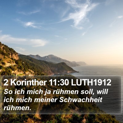 2 Korinther 11:30 LUTH1912 Bible Verse Image