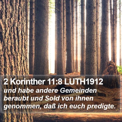 2 Korinther 11:8 LUTH1912 Bible Verse Image
