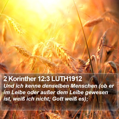 2 Korinther 12:3 LUTH1912 Bible Verse Image