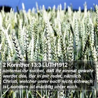 2 Korinther 13:3 LUTH1912 Bible Verse Image