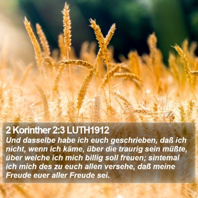 2 Korinther 2:3 LUTH1912 Bible Verse Image