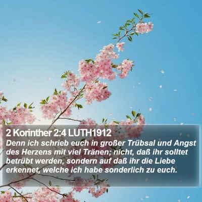 2 Korinther 2:4 LUTH1912 Bible Verse Image