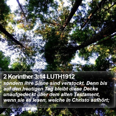 2 Korinther 3:14 LUTH1912 Bible Verse Image