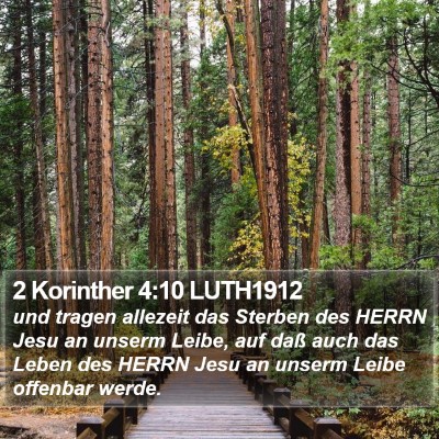 2 Korinther 4:10 LUTH1912 Bible Verse Image